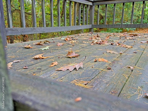 Fallen autumn oak leaves litter wood deck in messy yard