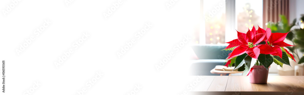 Fototapeta premium Weihnachtsstern in weihnachtlich dekorierten Wohnzimmer 