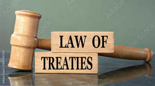 LAW OF TREATIES - words on wooden blocks with a judge's gavel in the background photo