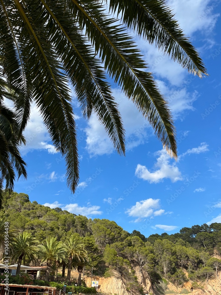 Naklejka premium Palm trees on the beach
