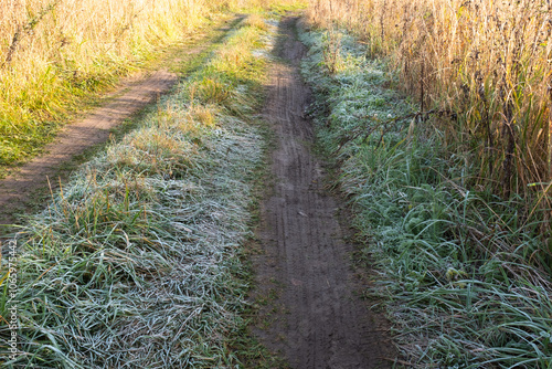 Frost-Covered Road through Tall Grass on a Cold Autumn Morning. This country trail covered with frost highlighting the texture of the grass and pathway. Ideal for nature lovers and season photography.