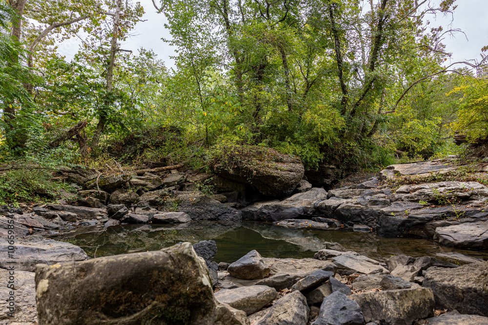 Forest Refuge: Rocky Stream and Pools