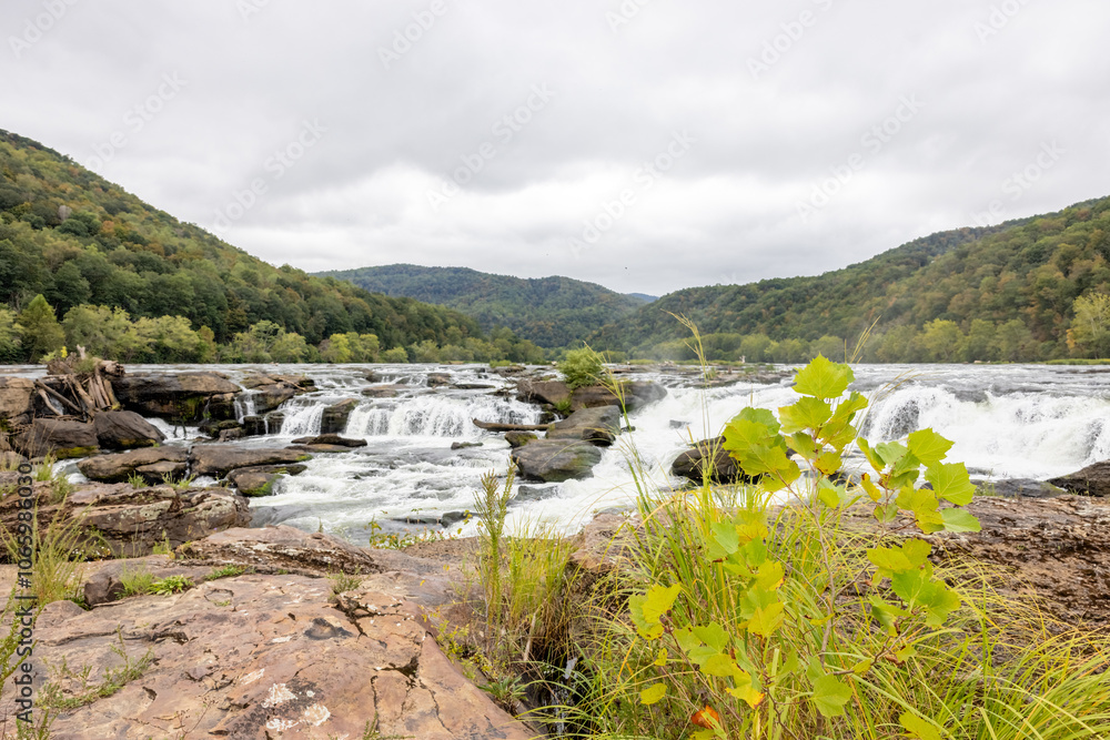 River Expanse: Cascades and Forested Hills