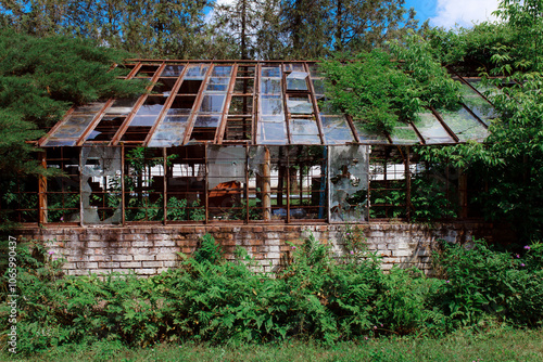 Vintage greenhouse with broken windows. An old greenhouse for the study of rare plants. Broken windows theory. Growing sustainable products in your home greenhouse.