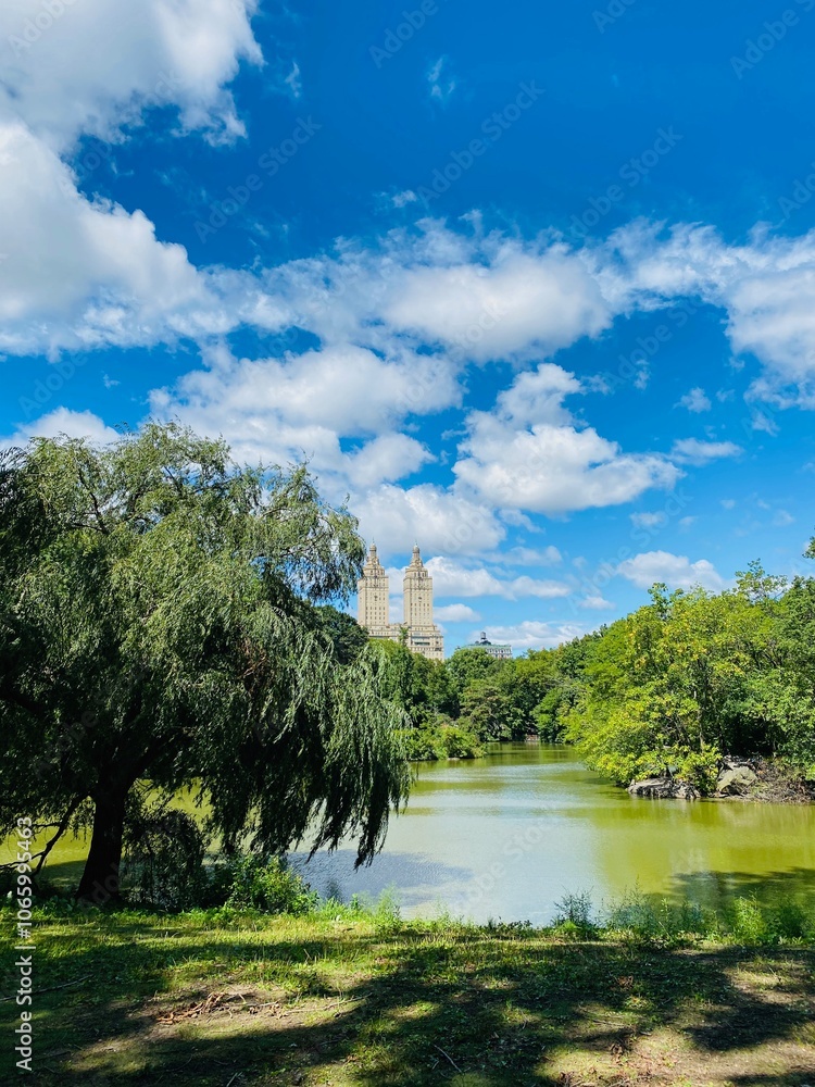 Obraz premium NEW YORK - August 30, 2020: the pond in Central Park surrounded by greenery on a sunny day