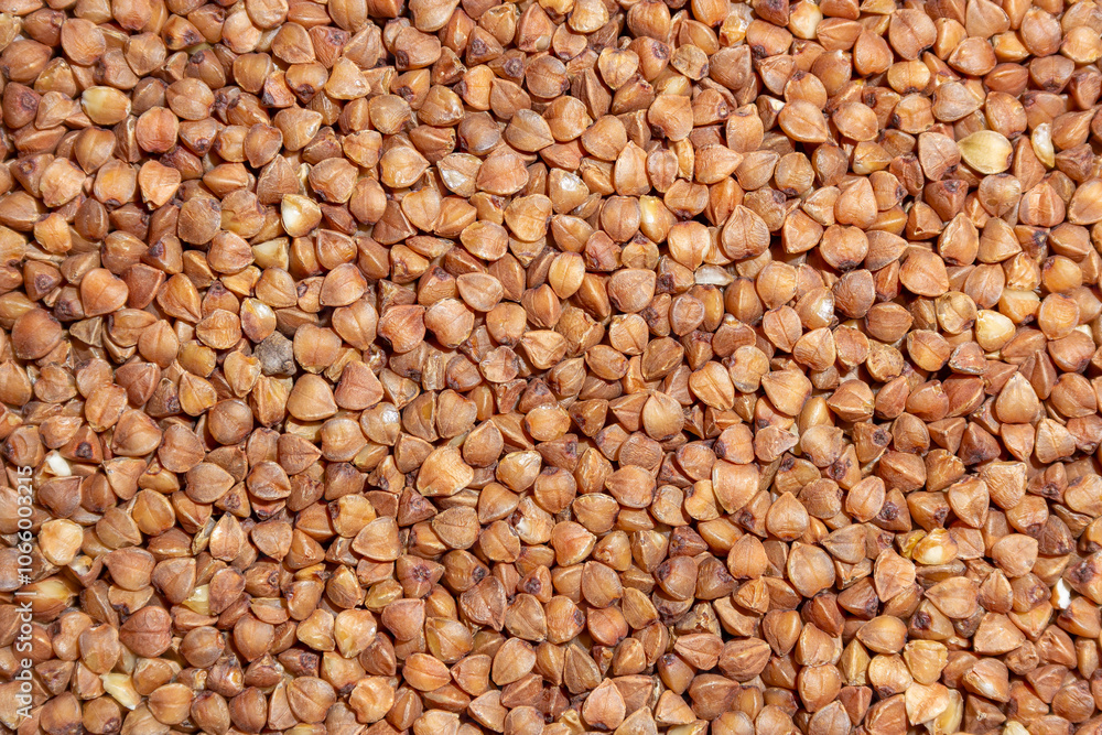 Dry Uncooked Brown Buckwheat Groats Background - Top View, Flat Lay. Raw Large Buckwheat Grains. Russian, Ukrainian and Belarusian Culture Dry Uncooked Brown Buckwheat Groats Background - Top View, Flat Lay. Raw Large Buckwheat Grains. Russian, Ukrainian and Belarusian Culture