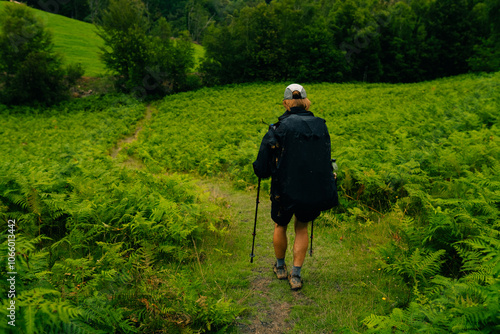 Young boy walking in a lush green mountain valley photo