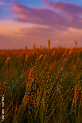 Vibrant Sunrise Over Tranquil Lagoon