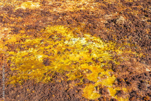 Colourful spings of acid in Dallol, Danakil depression, Ethiopia photo