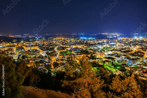 Fototapeta Naklejka Na Ścianę i Meble -  A city at night with lights on the buildings and trees