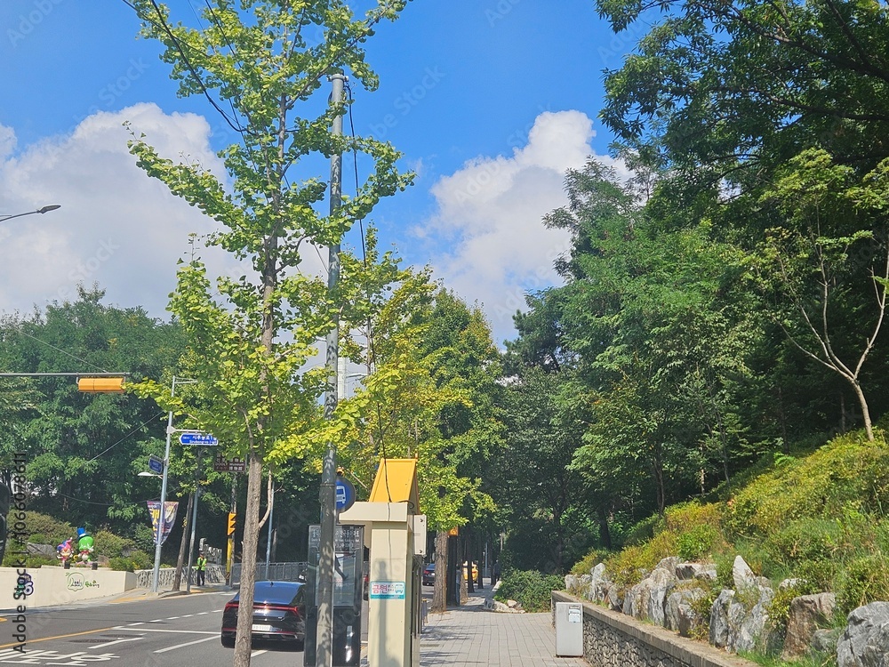 Obraz premium the road in the city