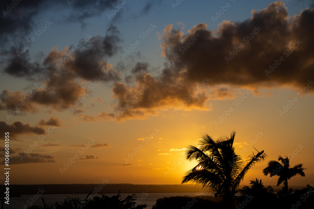 Obraz premium The sunset sun setting behind palm leaves.