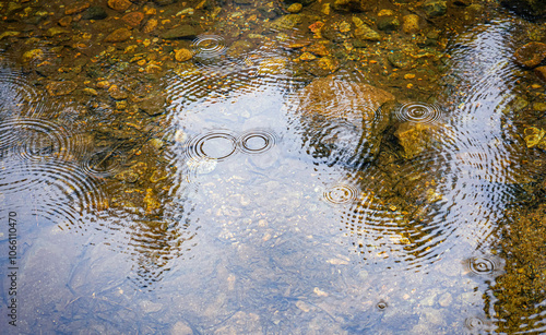 Rain Circles in Pond with Rocks