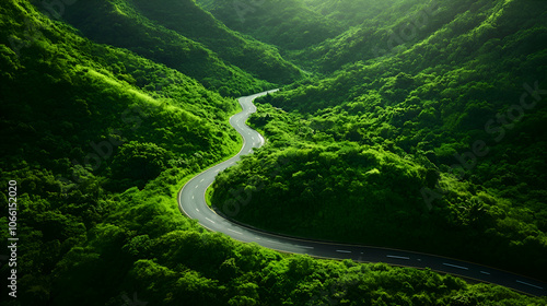 Winding Road Through Lush Green Forest, lush foliage, tropical forest, jungle road, forest road, mountain road