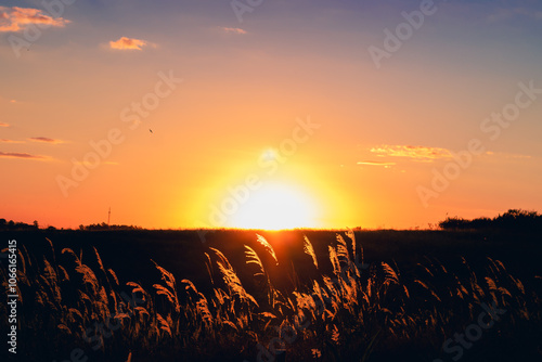 Natureza ao pôr do sol