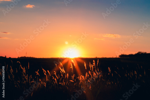 Natureza ao pôr do sol