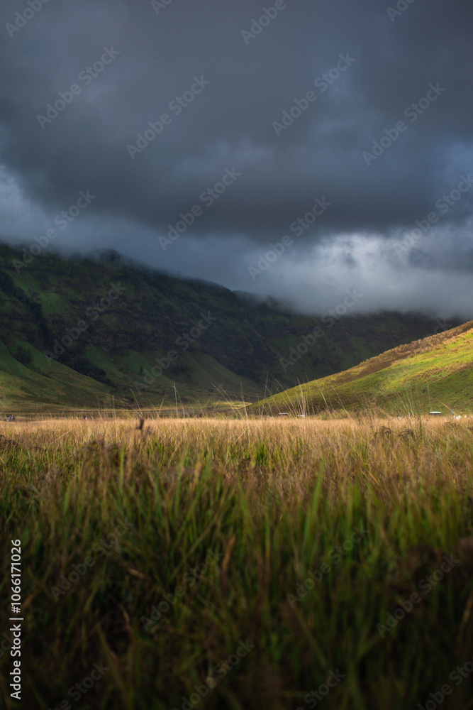 clouds over the field