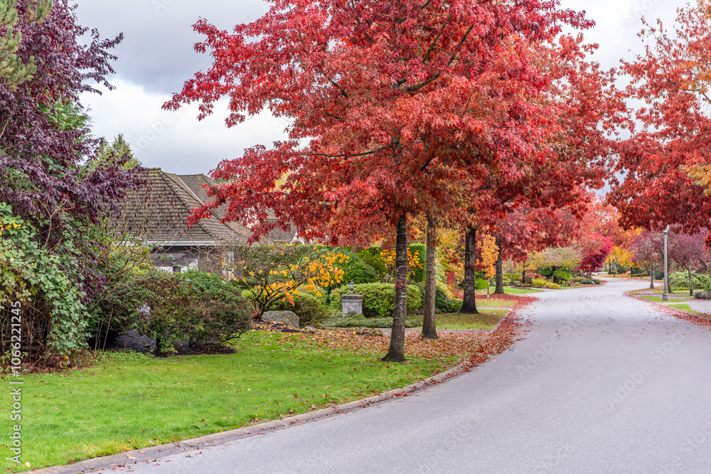 Naklejka premium Neighbourhood of luxury houses in fall foliage with street road, big trees and nice landscape in Vancouver, Canada. Blue sky. Day time on November 2024.