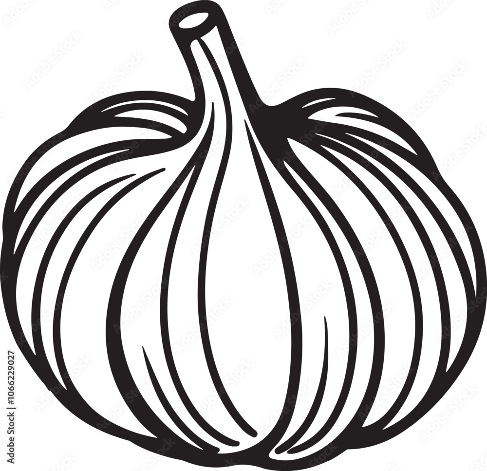 Obraz premium line art drawing of garlic silhouette vector art illustration