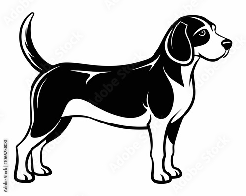 Vector beagle dog silhouette black illustration on a white background