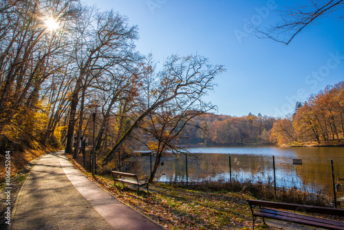 An alley from the Sovata resort - Romania in autumn