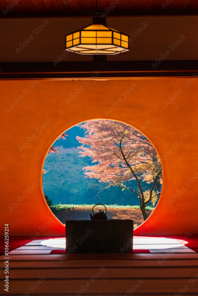 秋の鎌倉 明月院
