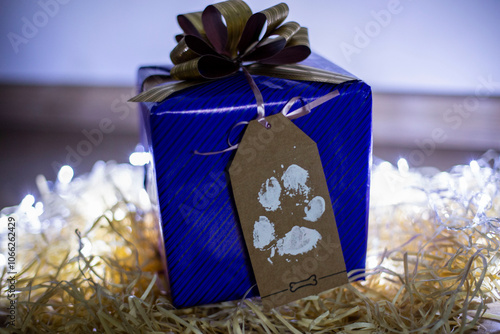 Christmas gift box with tag stamped by a dog paw in the middle of the hay with christmas lights