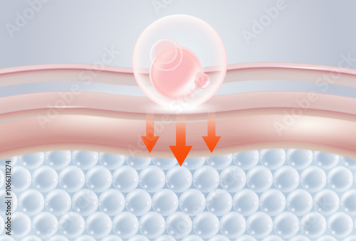 Collagen solution and glutathione serum drop absorbed into the skin cell layer getting younger.