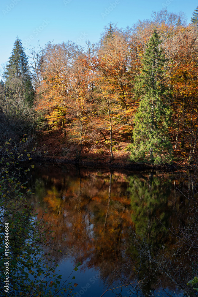 Landscape of trees and lake in autumn in Burgundy, France, under the sun, with a beautiful reflection in the water Landscape of trees and lake in autumn in Burgundy, France, under the sun, with a beautiful reflection in the water