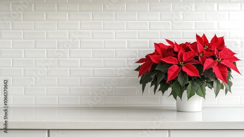 Poinsettia placed on a kitchen countertop with white brick tile backdrop photo