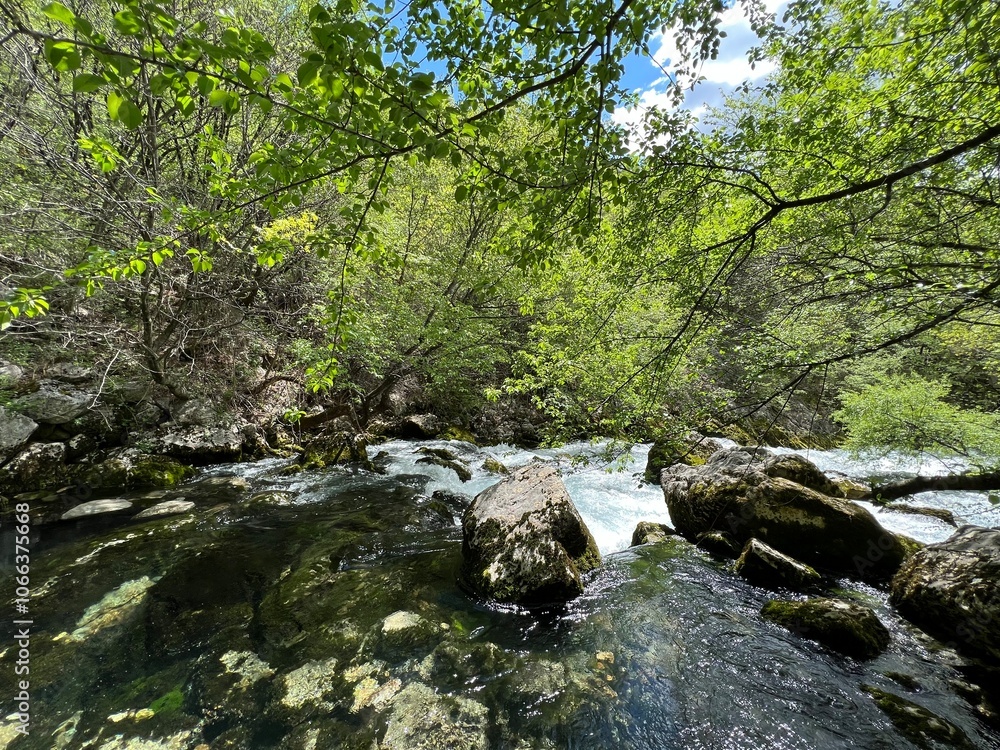The source of the river Zrmanja (Velebit Nature Park, Croatia) - die Quelle des Flusses Zrmanja (Naturpark Velebit, Kroatien) - Izvor Zrmanje ili Vrelo Zrmanje (Park prirode Velebit, Hrvatska) The source of the river Zrmanja (Velebit Nature Park, Croatia) - die Quelle des Flusses Zrmanja (Naturpark Velebit, Kroatien) - Izvor Zrmanje ili Vrelo Zrmanje (Park prirode Velebit, Hrvatska)