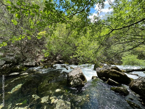 The source of the river Zrmanja (Velebit Nature Park, Croatia) - die Quelle des Flusses Zrmanja (Naturpark Velebit, Kroatien) - Izvor Zrmanje ili Vrelo Zrmanje (Park prirode Velebit, Hrvatska) photo