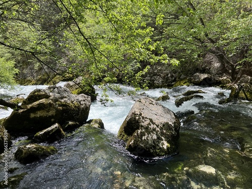 The source of the river Zrmanja (Velebit Nature Park, Croatia) - die Quelle des Flusses Zrmanja (Naturpark Velebit, Kroatien) - Izvor Zrmanje ili Vrelo Zrmanje (Park prirode Velebit, Hrvatska) photo