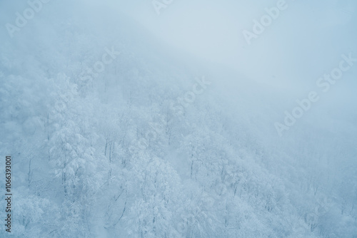 View of Snow monster in Winter day at Mount Zao ski resort, Yamagata prefecture, Japan. powder snow covered in frosty weather. Travel, Adventure and Vacation background