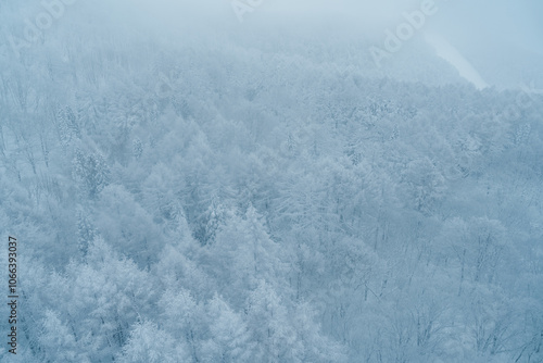 View of Snow monster in Winter day at Mount Zao ski resort, Yamagata prefecture, Japan. powder snow covered in frosty weather. Travel, Adventure and Vacation background