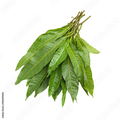 A vibrant display of six beautifully decorated cupcakes featuring various toppings and colors, set against a black background.