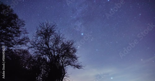 Wallpaper Mural Time-lapse of Milky way, shooting stars, planets, stars and landscape silhouettes. Time lapse video.	
 Torontodigital.ca