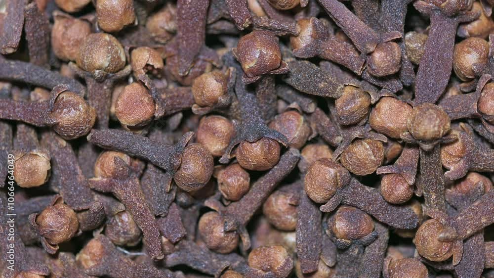 Dried Clove Grains On A Turntable Dried Clove Grains On A Turntable