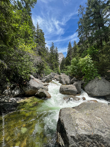Rushing River through Forest