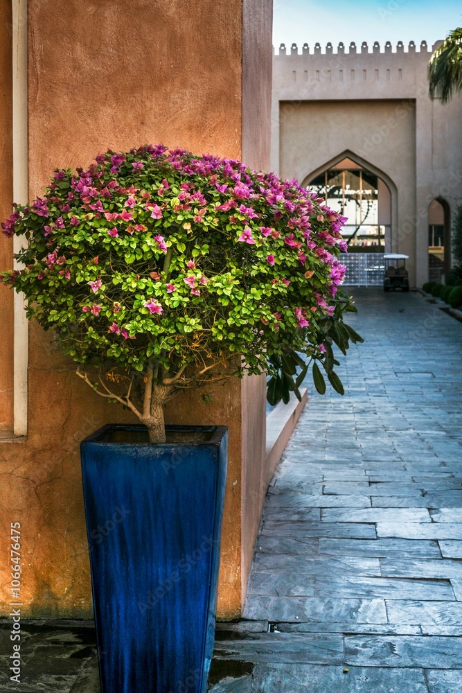 Naklejka premium Vibrant potted plant by traditional entrance