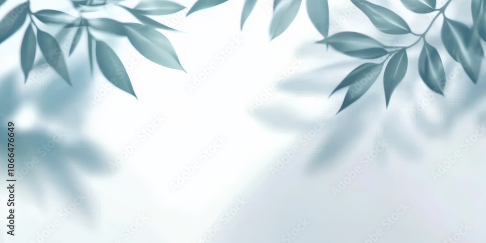 Abstract Nature Silhouette on White Background Abstract Nature Silhouette on White Background