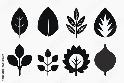 Set of Leaf icons. Leaves of trees and plants. Leaf silhouette. Leaf Collection. Leaf vector .Decoration elements design