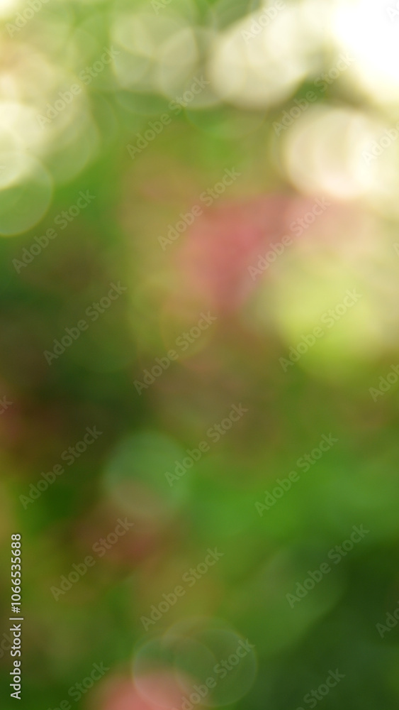 Obraz premium Abstract blurred green bokeh nature for background.