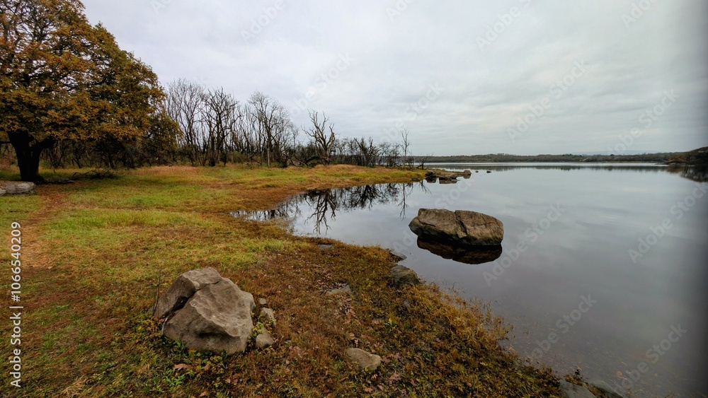 Beautiful autumn lakeside landscape scenery at Coole park nature reserve, Galway, Ireland, tranquil background