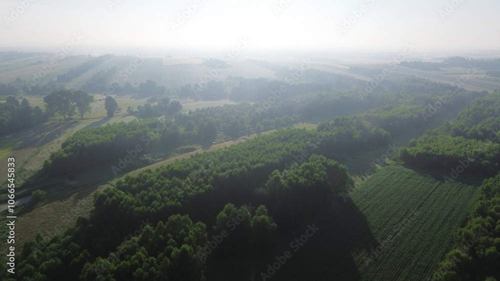 Fototapeta premium Fog-covered landscape with fields and trees from above