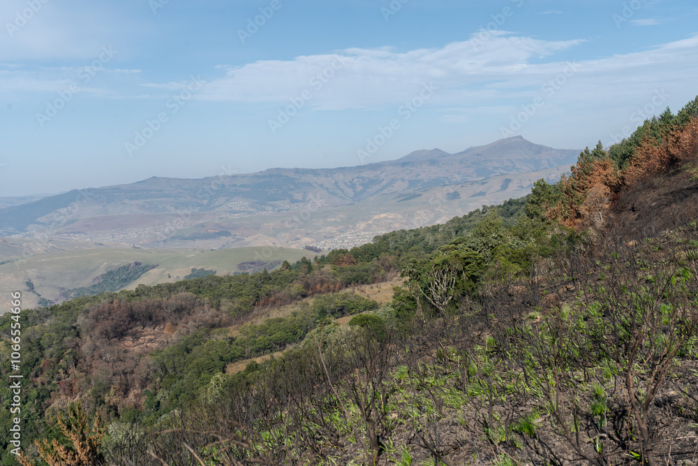View of a Hogsback mountain in the Amathole mountain, Eastern cape View of a Hogsback mountain in the Amathole mountain, Eastern cape