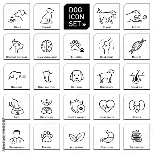 The main benefits from dogs balanced diet. The main advantages from a balanced food or supplement. Each icon is designed with lines and aesthetic, making them perfect for pet health products. EPS10.