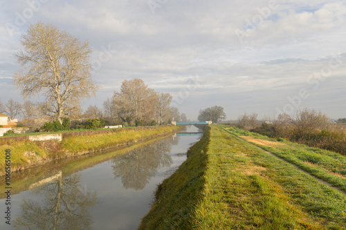 The Canal du Vigueirat in Arles on a calm morning in springtime