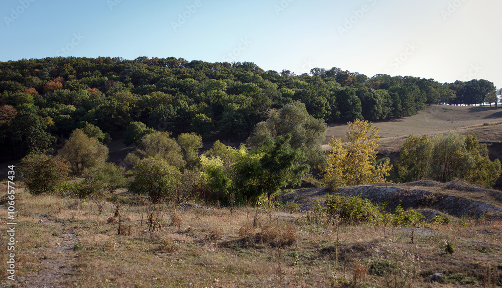 Landscape of hilly autumn forest with deciduous trees, which have leaves of autumn shades Landscape of hilly autumn forest with deciduous trees, which have leaves of autumn shades