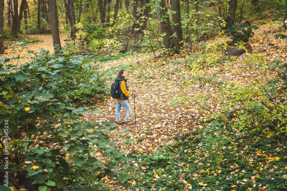 Woman Hiking Through Autumn Forest With Trekking Poles, Nordic walking Woman Hiking Through Autumn Forest With Trekking Poles, Nordic walking